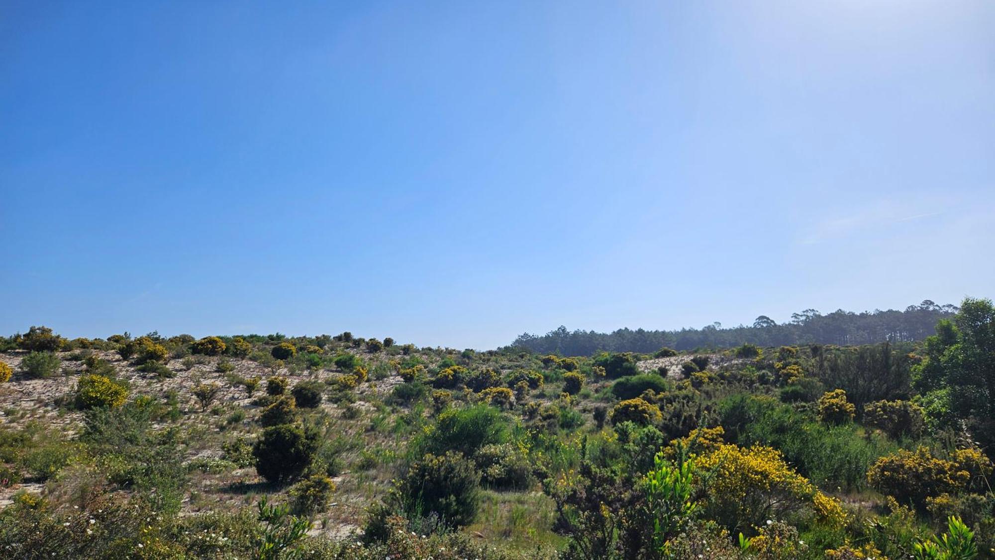 Nazare Uninterrupted Views And Sounds Of The Sea Apartment ปาไตอัส ภายนอก รูปภาพ
